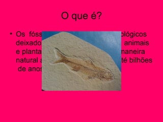 O que é?
• Os fósseis são registros arqueológicos
  deixados no solo , são restos de animais
  e plantas que se conservam de maneira
  natural ao longo de milhões ou até bilhões
   de anos.
 