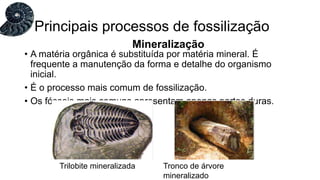 • A matéria orgânica é substituída por matéria mineral. É
frequente a manutenção da forma e detalhe do organismo
inicial.
• É o processo mais comum de fossilização.
• Os fósseis mais comuns apresentam apenas partes duras.
Principais processos de fossilização
Mineralização
Trilobite mineralizada Tronco de árvore
mineralizado
 