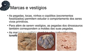 • As pegadas, tocas, ninhos e copólitos (excrementos
fossilizados) permitem estudar o comportamento dos seres
vivos primitivos.
• Para além de serem vestígios, as pegadas dos dinossauros
também correspondem a moldes das suas pegadas.
• As marcas ou vestígios também são conhecidos por
icnofósseis.
Marcas e vestígios
 