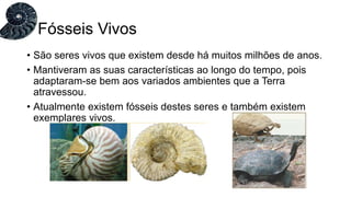 • São seres vivos que existem desde há muitos milhões de anos.
• Mantiveram as suas características ao longo do tempo, pois
adaptaram-se bem aos variados ambientes que a Terra
atravessou.
• Atualmente existem fósseis destes seres e também existem
exemplares vivos.
Fósseis Vivos
 