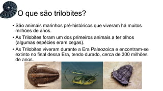• São animais marinhos pré-históricos que viveram há muitos
milhões de anos.
• As Trilobites foram um dos primeiros animais a ter olhos
(algumas espécies eram cegas).
• As Trilobites viveram durante a Era Paleozoica e encontram-se
extinto no final dessa Era, tendo durado, cerca de 300 milhões
de anos.
O que são trilobites?
 