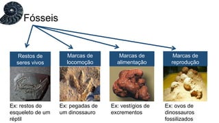 Fósseis
Restos de
seres vivos
Marcas de
locomoção
Marcas de
reprodução
Ex: restos do
esqueleto de um
réptil:
Ex: pegadas de
um dinossauro
Ex: vestígios de
excrementos
Ex: ovos de
dinossauros
fossilizados
Marcas de
alimentação
 