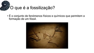 • É o conjunto de fenómenos físicos e químicos que permitem a
formação de um fóssil.
O que é a fossilização?
 