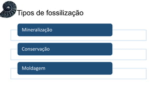 Mineralização
Conservação
Moldagem
Tipos de fossilização
 