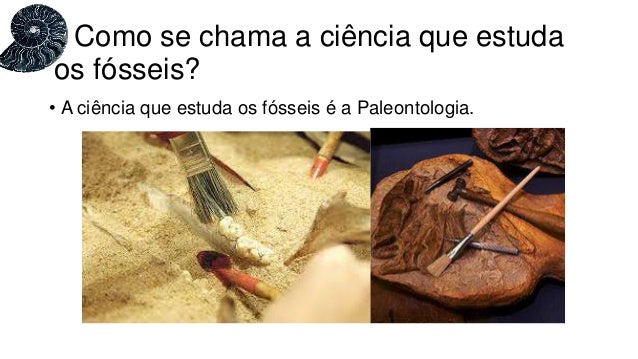 O Que São Fosseis