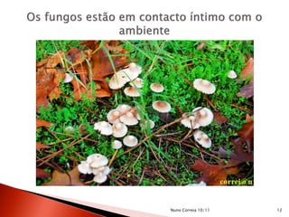 12Nuno Correia 10/11
 