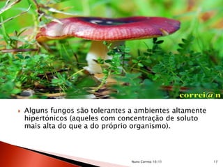  Alguns fungos são tolerantes a ambientes altamente
hipertónicos (aqueles com concentração de soluto
mais alta do que a do próprio organismo).
17Nuno Correia 10/11
 