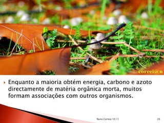  Enquanto a maioria obtém energia, carbono e azoto
directamente de matéria orgânica morta, muitos
formam associações com outros organismos.
20Nuno Correia 10/11
 