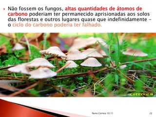  Não fossem os fungos, altas quantidades de átomos de
carbono poderiam ter permanecido aprisionadas aos solos
das florestas e outros lugares quase que indefinidamente -
o ciclo do carbono poderia ter falhado.
22Nuno Correia 10/11
 