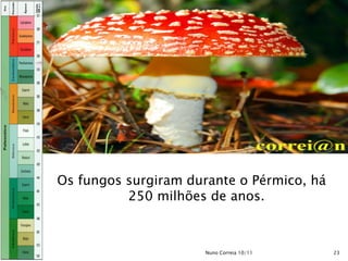 Os fungos surgiram durante o Pérmico, há
250 milhões de anos.
23Nuno Correia 10/11
 