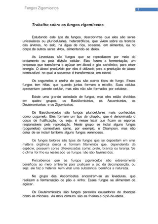 2Fungos Zigomicetos
Trabalho sobre os fungos zigomicetos
Estudando este tipo de fungos, descobrimos que eles são seres
unicelulares ou pluricelulares, heterotróficos, que vivem sobre os troncos
das árvores, no solo, na água de rios, oceanos, em alimentos, ou no
corpo de outros seres vivos, alimentando-se deles.
As Leveduras são fungos que se reproduzem por meio do
brotamento ou pela divisão celular. Elas fazem a fermentação, um
processo que transforma o açúcar em álcool e gás carbônico, para obter
energia. O álcool produzido por elas é utilizado para a produção de álcool
combustível no qual a sacarose é transformada em etanol.
Os cogumelos e orelha de pau são outros tipos de fungo. Esses
fungos tem hifas, que quando juntas formam o micélio. Suas células
apresentam parede celular, mas elas não são formadas por celulose.
Existe uma grande variedade de fungos, mas eles estão divididos
em quatro grupos: os Basidiomicetos, os Ascomicetos, os
Deuteromicetos e os Zigomicetos.
Os Basidiomicetos são fungos pluricelulares mais conhecidos
como cogumelo. Eles formam um tipo de chapéu, que é denominado o
corpo de frutificação, ou seja, é nesse local que ficam os esporos
responsáveis pela reprodução. Neste grupo se inclui alguns fungos
(cogumelos) comestíveis como, por exemplo, o Champion, mas não
deixa de se incluir também alguns fungos venenosos.
Os fungos bolores são tipos de fungos que se depositam em uma
matéria orgânica úmida e formam filamentos que, dependendo da
espécie, possuem cores diferenciadas como: preto, branco ou laranja. Se
o clima for frio ou ressecado os fungos não são favorecidos.
Percebemos que os fungos zigomicetos são extremamente
benéficos ao meio ambiente pois praticam o ato da decomposição, ou
seja: ele faz o material ruim virar uma substancia benéfica a natureza.
No grupo dos Ascomicetos encontram-se as leveduras, que
realizam a fermentação de pão e vinho. Esses fungos se alimentam de
açúcar.
Os Deuteromicetos são fungos parasitas causadores de doenças
como as micoses. As mais comuns são as frieiras e o pé-de-atleta.
 