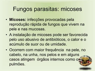 Os fungos | PPTX