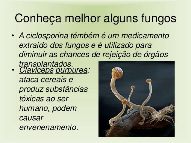 Se é possível livrar-se de um fungo em pregos de pernas