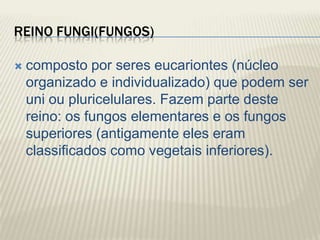Reino Fungi(fungos)composto por seres eucariontes (núcleo organizado e individualizado) que podem ser uni ou pluricelulares. Fazem parte deste reino: os fungos elementares e os fungos superiores (antigamente eles eram classificados como vegetais inferiores).