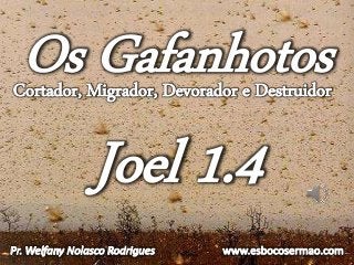 Joel 1.4
Os GafanhotosCortador, Migrador, Devorador e Destruidor
 
