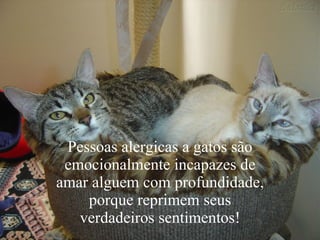 Pessoas alergicas a gatos são emocionalmente incapazes de amar alguem com profundidade, porque reprimem seus verdadeiros sentimentos! 