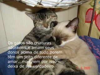 Os gatos são criaturas
adoraveis,e amam seus
donos acima de tudo,porem
têm um jeito diferente de
amar...mas nem por isso
deixa de ser verdadeiro
 