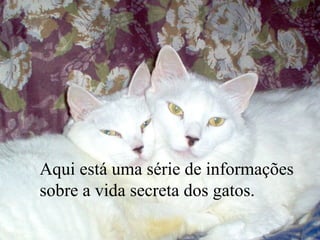 Aqui está uma série de informações
sobre a vida secreta dos gatos.
 