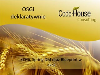 OSGi
deklaratywnie




   OSGi, Spring DM oraz Blueprint w
                 akcji
 