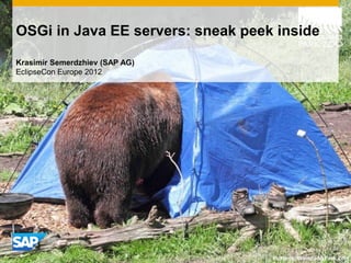 OSGi in Java EE servers: sneak peek inside

Krasimir Semerdzhiev (SAP AG)
EclipseCon Europe 2012




                                   Pictures: Woodland Park Zoo
 