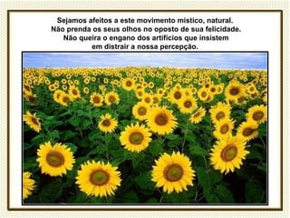 Sejamos afeitos a este movimento místico, natural.
Não prenda os seus olhos no oposto de sua felicidade.
   Não queira o engano dos artifícios que insistem
          em distrair a nossa percepção.
 