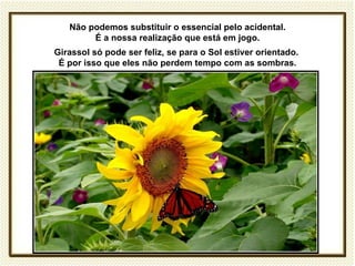 Não podemos substituir o essencial pelo acidental.
        É a nossa realização que está em jogo.
Girassol só pode ser feliz, se para o Sol estiver orientado.
 É por isso que eles não perdem tempo com as sombras.
 