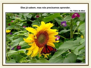 Eles já sabem, mas nós precisamos aprender.
                                          Pe. Fábio de Melo
 