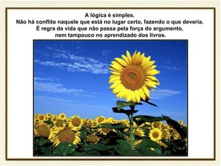 A lógica é simples.
Não há conflito naquele que está no lugar certo, fazendo o que deveria.
       É regra da vida que não passa pela força do argumento,
               nem tampouco no aprendizado dos livros.
 