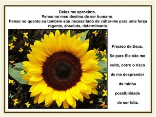 Deles me aproximo.
                Penso no meu destino de ser humano.
Penso no quanto eu também sou necessitado de voltar-me para uma força
                    regente, absoluta, determinante.




                                                   Preciso de Deus.

                                                  Se para Ele não me

                                                  volto, corro o risco

                                                  de me desprender

                                                       de minha

                                                    possibilidade

                                                      de ser feliz.
 