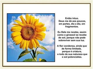 Então intuo.
 Deus me dá aos poucos,
 em partes, dia a dia, em
      fragmentos.

Eu Dele me recebo, assim
como o girassol se recebe
 do sol, porque não pode
 sobreviver sem sua luz.

A flor condensa, ainda que
     de forma limitada,
     porque é criatura,
o todo de sua natureza que
     o sol potencializa.
 