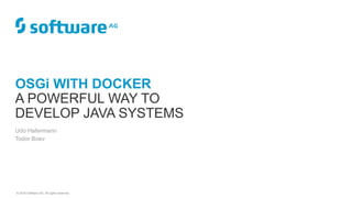 © 2018 Software AG. All rights reserved.
Udo Hafermann
Todor Boev
OSGi WITH DOCKER
A POWERFUL WAY TO
DEVELOP JAVA SYSTEMS
 