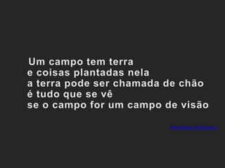    Um campo tem terrae coisas plantadas nelaa terra pode ser chamada de chãoé tudo que se vêse o campo for um campo de visãoArnaldo Antunes