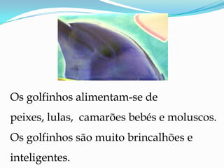 Os golfinhos alimentam-se de peixes, lulas,  camarões bebés e moluscos.  Os golfinhos são muito brincalhões e inteligentes. 