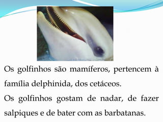 Os golfinhos são mamíferos, pertencem à família delphinida, dos cetáceos.Os golfinhos gostam de nadar, de fazer salpiques e de bater com as barbatanas.