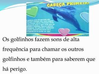 Os golfinhos fazem sons de alta frequência para chamar os outros golfinhos e também para saberem que há perigo.