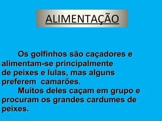 Os golfinhos são caçadores e alimentam-se principalmente de peixes e lulas, mas alguns preferem  camarões.   Muitos deles caçam em grupo e procuram os grandes cardumes de peixes.  ALIMENTAÇÃO 