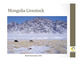Mongolia	
  Livestock	
  

Mark	
  Rosenwald,	
  CSP2	
  

 