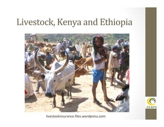 Livestock,	
  Kenya	
  and	
  Ethiopia	
  

livestockinsurance.ﬁles.wordpress.com	
  

 