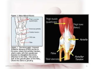3/28/2011 CAMILA RABAY-R1 14
 