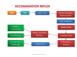 ACCOMADATION REFLEX
www.dnbpediatrics.com
 