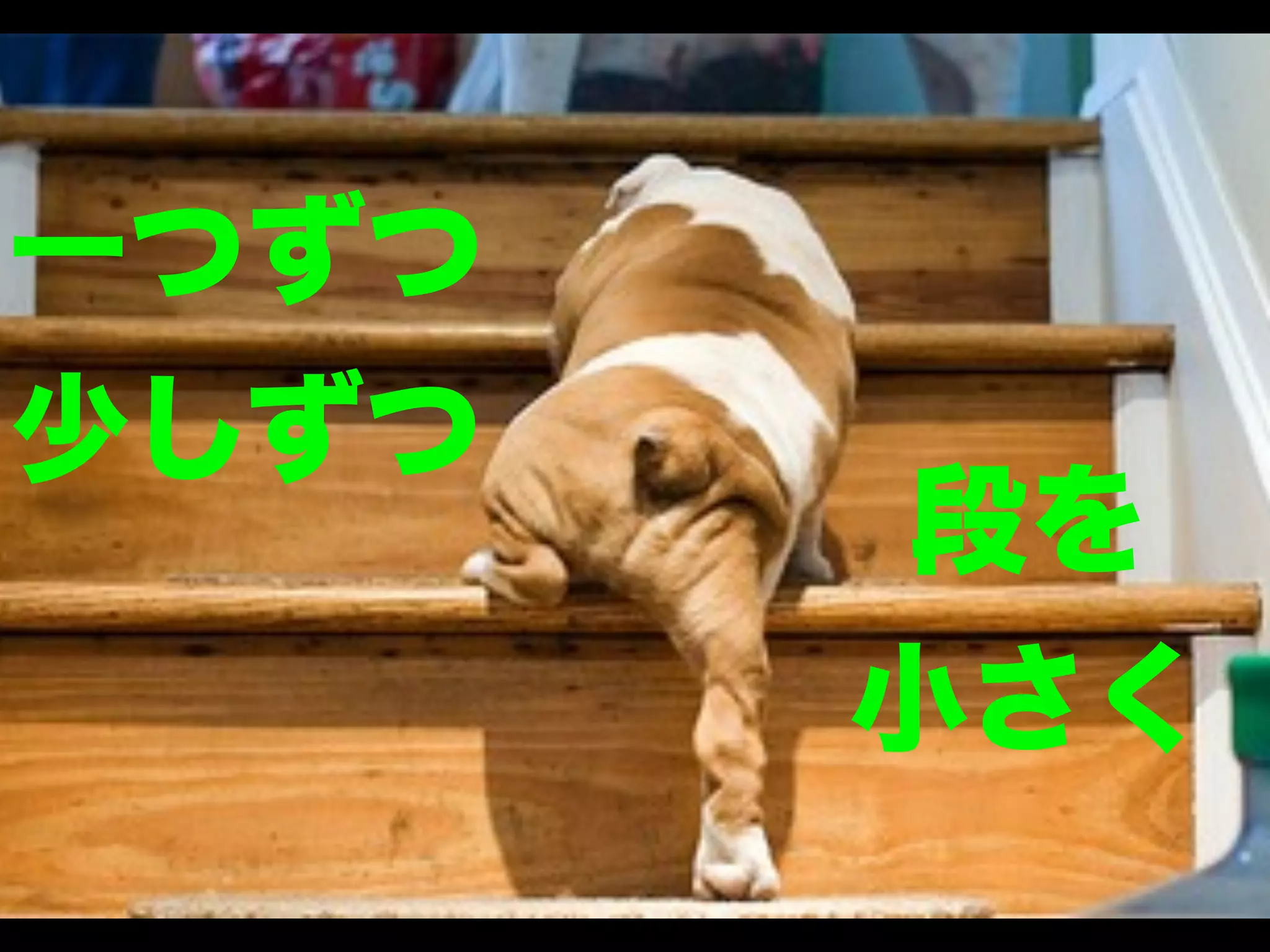 一つずつ
少しずつ

段を
小さく

 