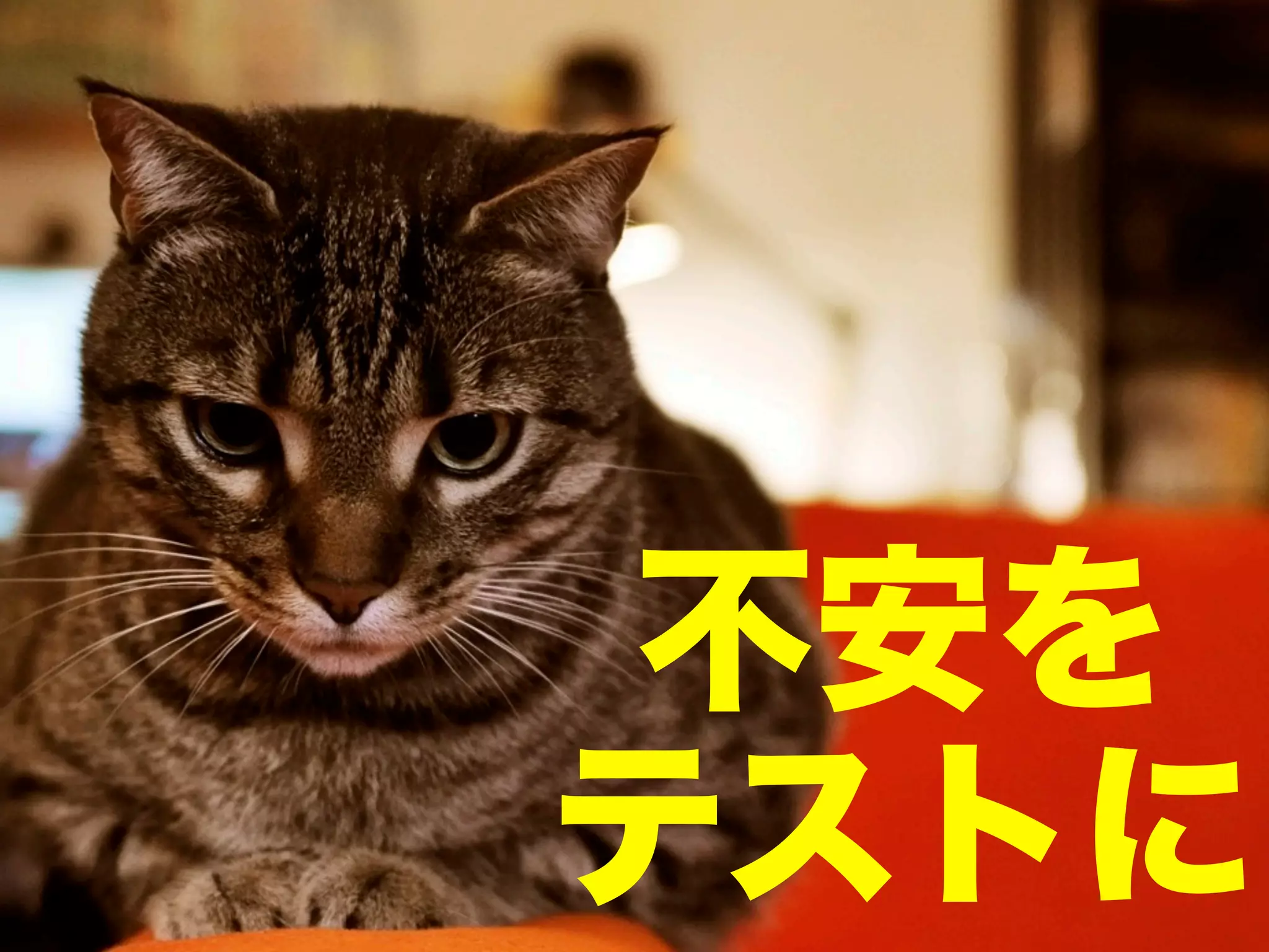 不安を
テストに

 