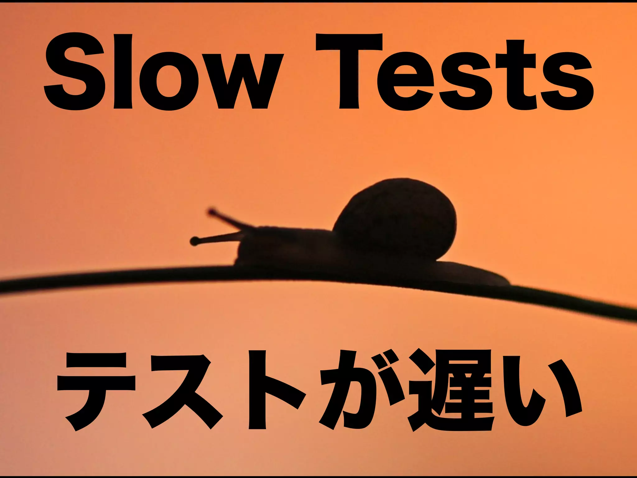 Slow Tests

テストが遅い

 
