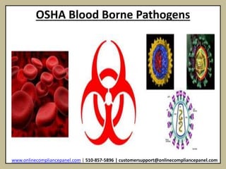 OSHA Blood Borne Pathogens 
www.onlinecompliancepanel.com | 510-857-5896 | customersupport@onlinecompliancepanel.com 
 