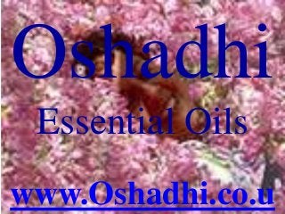 Oshadhi
Essential Oils
www.Oshadhi.co.u
 