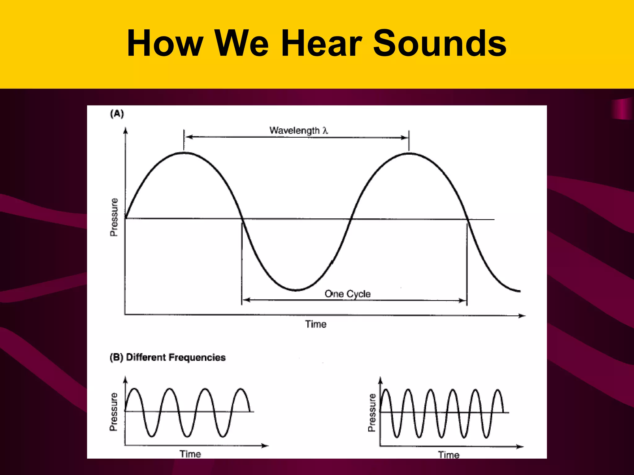How We Hear Sounds
 