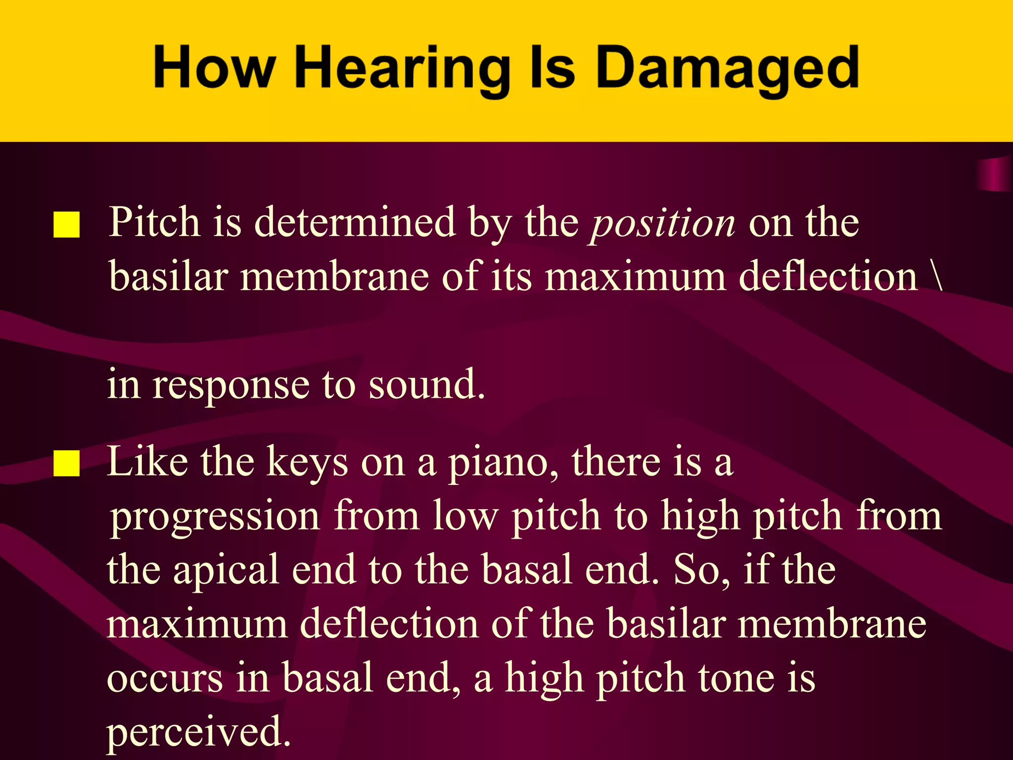 ■ Pitch is determined by the position on the
basilar membrane of its maximum deflection 
in response to sound.
■ Like the keys on a piano, there is a
progression from low pitch to high pitch from
the apical end to the basal end. So, if the
maximum deflection of the basilar membrane
occurs in basal end, a high pitch tone is
perceived.
 