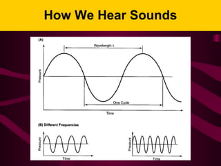 How We Hear Sounds
 