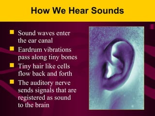 How We Hear Sounds
 Sound waves enter
the ear canal
 Eardrum vibrations
pass along tiny bones
 Tiny hair like cells
flow back and forth
 The auditory nerve
sends signals that are
registered as sound
to the brain
 