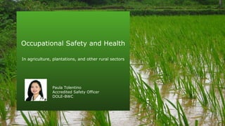 Occupational Safety and Health
In agriculture, plantations, and other rural sectors
Paula Tolentino
Accredited Safety Officer
DOLE-BWC
 